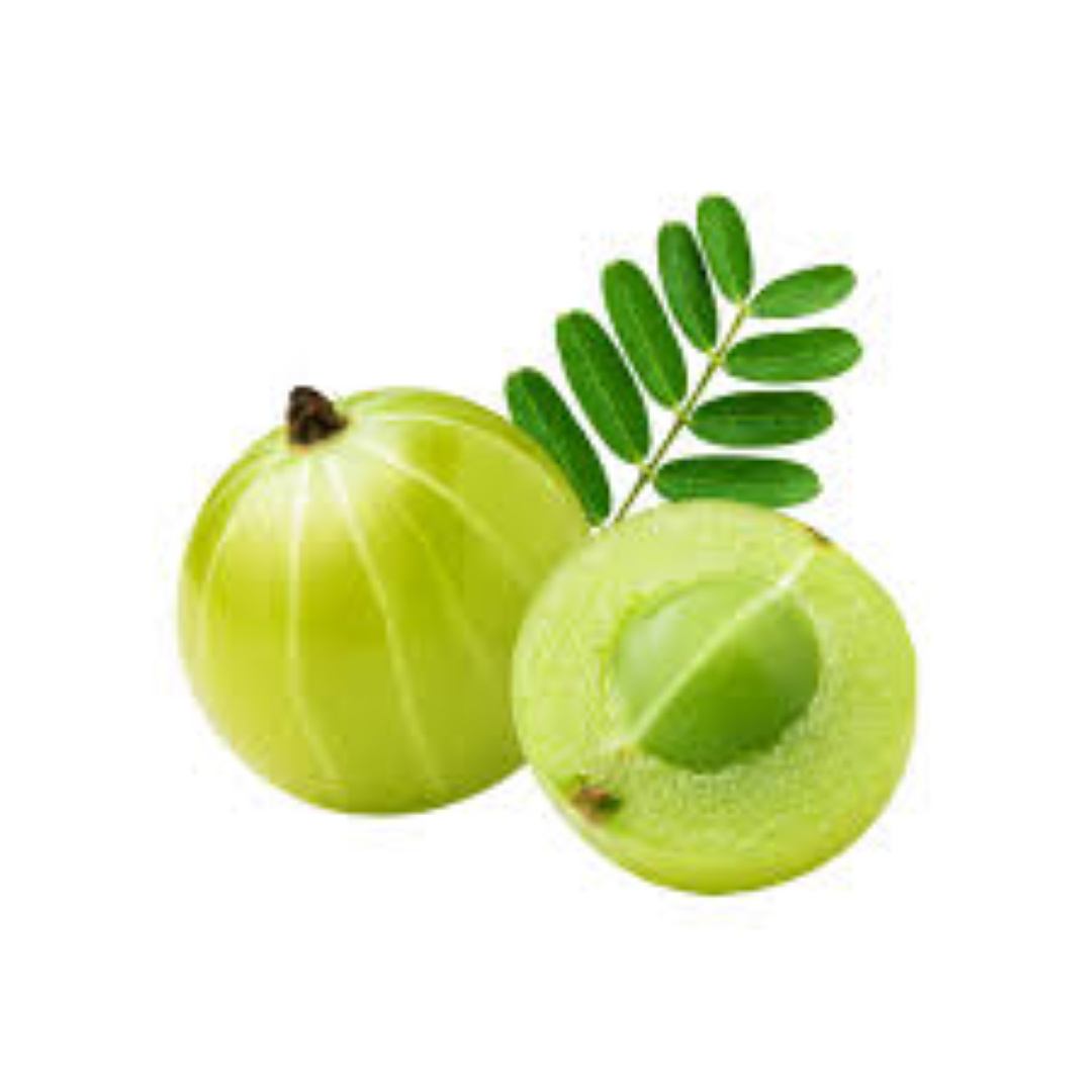 FRESH AMLA